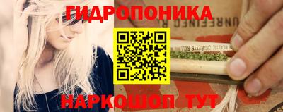 PSILOCYBIN Кумертау