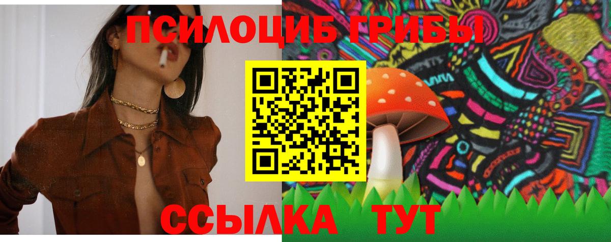 где найти наркотики  Псилоцибиновые грибы Psilocybe  Вход с VPN  Галлюциногенные грибы Cubensis  Заводоуковск 