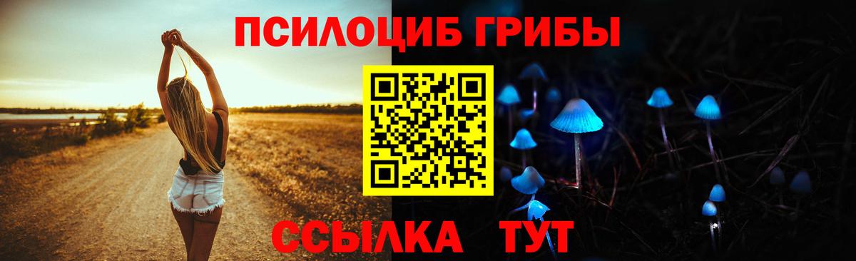 Галлюциногенные грибы Cubensis Заводоуковск